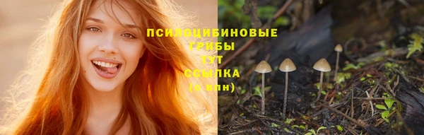 ешки Зерноград
