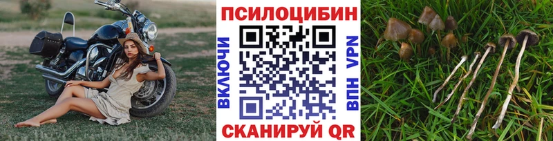 Купить где  Новоузенск  Псилоцибиновые грибы Magic Shrooms 