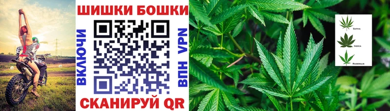 Купить Новоузенск МАРИХУАНА OG Kush